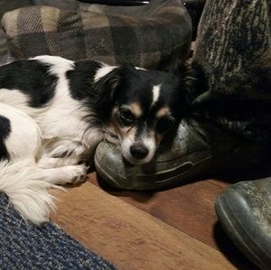 Meet your Posher, Frank